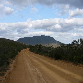 <b>Red Gum Pass Road in the Stirling Ranges, Albany (Anne)</b>