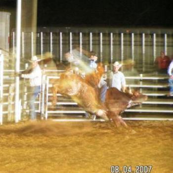 <b>Rodeo Bull Riding</b>
