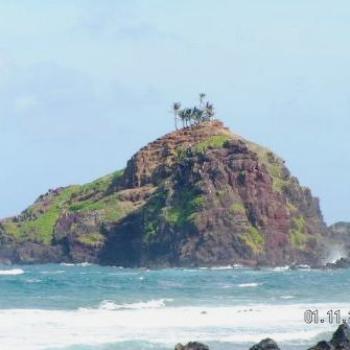 <b>Hawaii   Sue/OK</b>