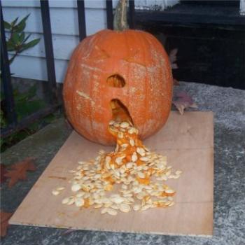 <b>Too Much Halloween Candy?</b>