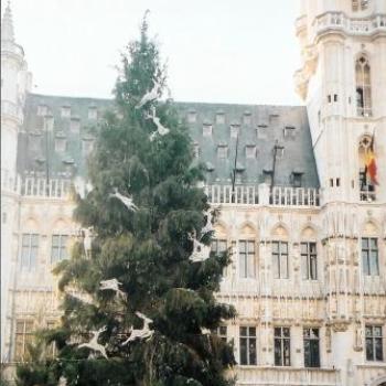 <b>Christmas in Brussels Sue/OK</b>