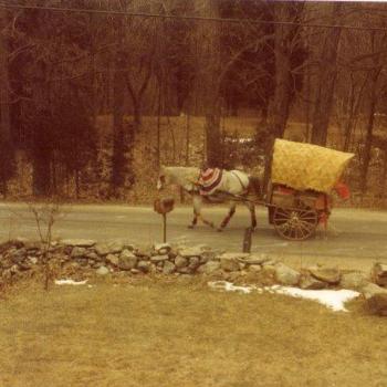 <b>gypsy wagon</b>