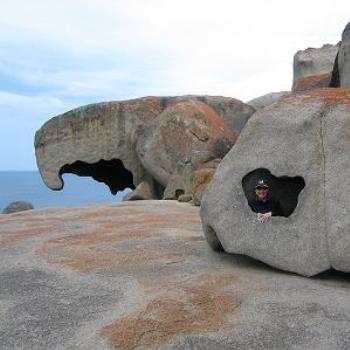 <b>kangaroo Is</b>