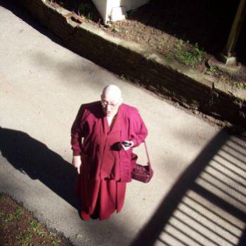 <b>Buddhist nun and shadows/dino</b>