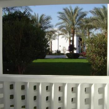 <b>Hotel gardens in Sharm El Sheikh viewed from our room</b>