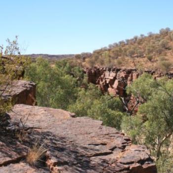 <b>Trephina Gorge MacDonnells</b>