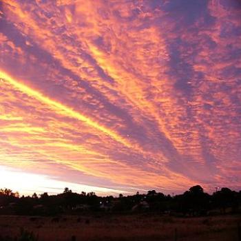 <b>Sunrise from back garden at Albany (Anne)</b>