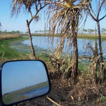 <b>Billabong at the turn off Port Keats Road NT/</b>