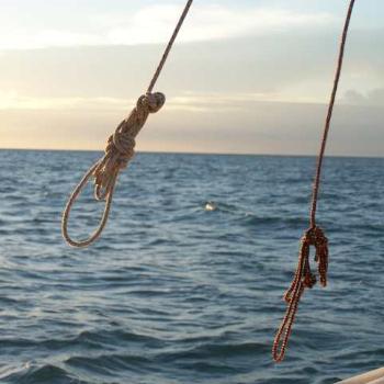 <b>Darwin Harbour NT</b>