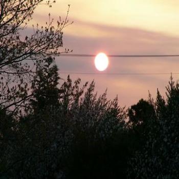 <b>Sunset through the bushfire smoke (Anne)</b>