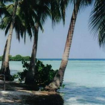 <b>Kura Kura Island, Indonesia</b>