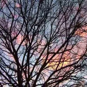 <b>Winter Sunset</b>