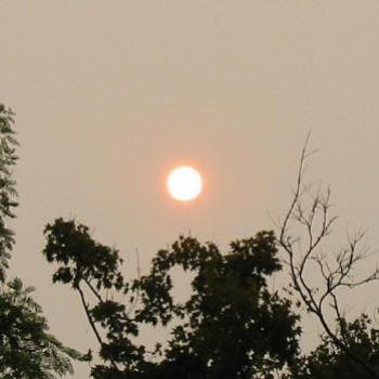 <b>bushfire sunset Sydney Jan 2003 Kate/Sydney</b>