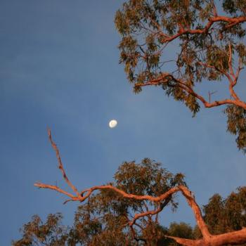 <b>Tiwi moon fi from NT</b>