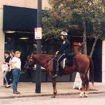 <b>Our version of mounted police: Jubilee (the horse) retired last year after many years of service. \ kay NC</b> <b>Our version of mounted police: Jubilee (the horse) retired last year after many years of service. \ kay NC</b>