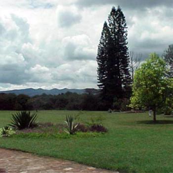 <b>Do you see the Maasai Warrior in the distance - "Out of Africa" - from Karen Blixen's porch</b> <b>Do you see the Maasai Warrior in the distance - "Out of Africa" - from Karen Blixen's porch</b>