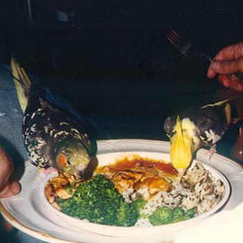 <b>Prego and Ramen take over the dinner table. Honest, he didn't eat them! / kr NC</b> <b>Prego and Ramen take over the dinner table. Honest, he didn't eat them! / kr NC</b>