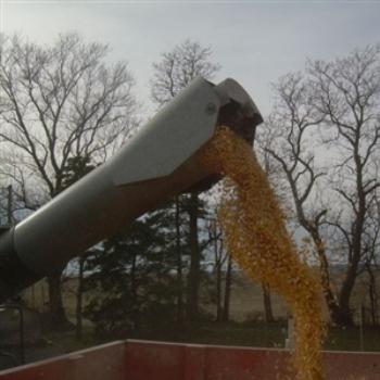 <b>You may see corn spiraling from a combine's mechanized auger, but I see Northern Illinois Gold. November, 2008</b> <b>You may see corn spiraling from a combine's mechanized auger, but I see Northern Illinois Gold. November, 2008</b>