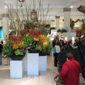 <b>7557 David Jones (large city shop) Spring Carnival of Colour Sydney Sept'08 Kate/Sydney</b> <b>7557 David Jones (large city shop) Spring Carnival of Colour Sydney Sept'08 Kate/Sydney</b>