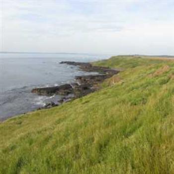 <b>South Western end of Phillip Island (Phillip Island '09/LankyYank)</b> <b>South Western end of Phillip Island (Phillip Island '09/LankyYank)</b>