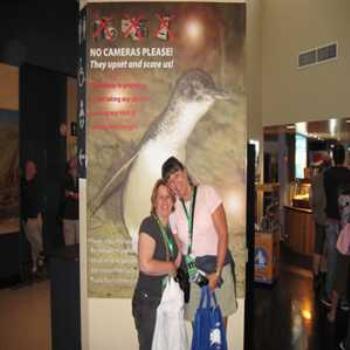 <b>Excited visitors to the Penguin Parade (Phillip Island '09/LankyYank)</b> <b>Excited visitors to the Penguin Parade (Phillip Island '09/LankyYank)</b>