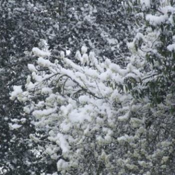 <b>Late snow fall in April, Ashtead, Surrey, England - Eileen (Surrey, England)</b> <b>Late snow fall in April, Ashtead, Surrey, England - Eileen (Surrey, England)</b>