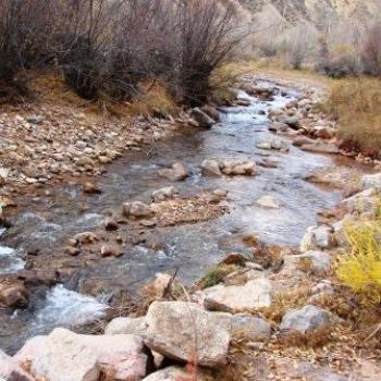 <b>Autumn trickle of Sheep Creek in Sheep Creek Geological Area of Utah in Oct 2009 by Wilodene</b> <b>Autumn trickle of Sheep Creek in Sheep Creek Geological Area of Utah in Oct 2009 by Wilodene</b>