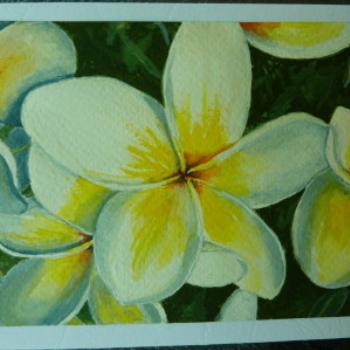 <b>Close up of one of my greeting card water colour paintings - Wendy/Perth</b> <b>Close up of one of my greeting card water colour paintings - Wendy/Perth</b>