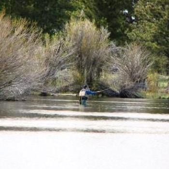 <b>Fly fisherman having fun at Green Lake in Utah - by Wilodene May 2010</b> <b>Fly fisherman having fun at Green Lake in Utah - by Wilodene May 2010</b>