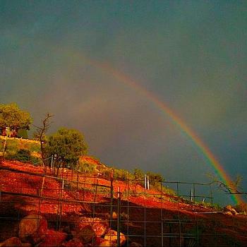 <b>Rainbow behind horse on ridge in S. Calif.</b>