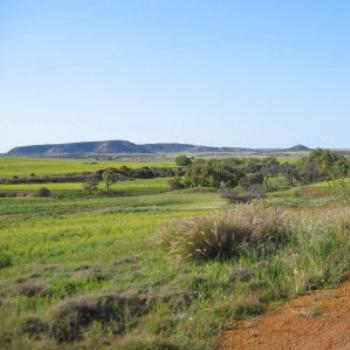 <b>Tasmanian landscape. - Wendy/Perth</b>