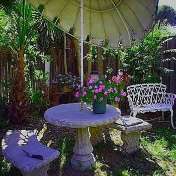 <b>Garden stone table, bench w banana tree</b>