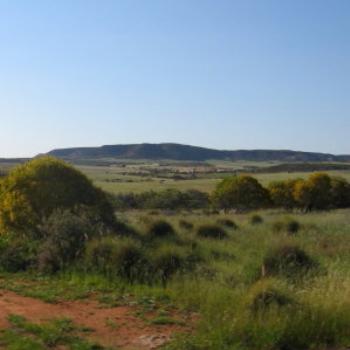 <b>Tasmanian landscape. - Wendy/Perth</b>