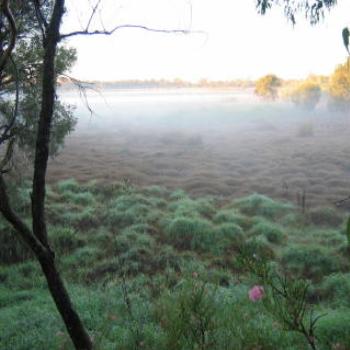 <b>Misty morning, North Lake - Wendy/Perth</b>