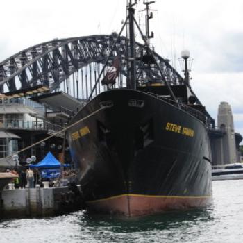 <b>2352 Sea Shepherd, Steve Irwin, Circular Quay, Island Hopping,11th Oct09, Kate/Sydney</b>