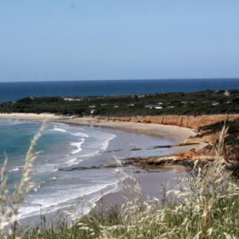 <b>5943 Anglesea Beach, Victoria, 25th Oct09 Kate/Sydney </b>