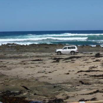 <b>6175 tide's out - hope they get back before the tide comes in!!! Lorne, Victoria, 26th Oct09 Kate/Sydney</b>