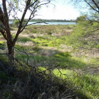 <b>North Lake minus water! - Wendy/Perth</b>