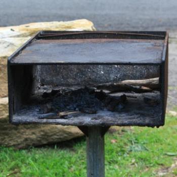 <b>9693 wood fired BBQ, Lane Cove National Park, West Chatswood, NSW, 1st Sept'09, Kate/Sydney</b>