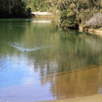 <b>9371 weir, Lane Cove River, Lane Cove National Park, West Chatswood, NSW, 1st Sept'09, Kate/Sydney</b>
