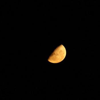 <b>3140 half moon, Hawkesbury R, 6th March'09 Kate/Sydney</b>