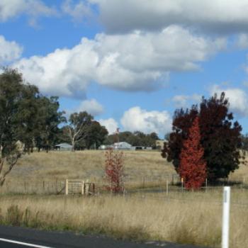 <b>1736 between Molong & Orange, driving from Dubbo to Sydney, 3rd May'09, Kate/Sydney</b>