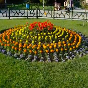 <b>floral landscaping</b>
