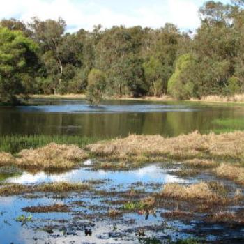 <b>North Lake Swamp - Wendy/Perth</b>