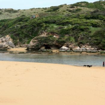 <b>7201 walking the dogs, Bluehole reserve, Warnambool, GORd, Vic, 28th Oct'09, Kate/Sydney</b>