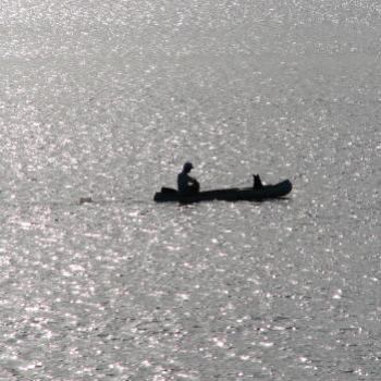<b>1519  checking crab traps, 7 30am, 21st Dec'08, Hawkesbury R, 21st Dec'08 Kate/Sydney</b>