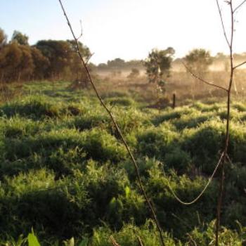 <b>North Lake, early morning; Wendy/Perth</b>