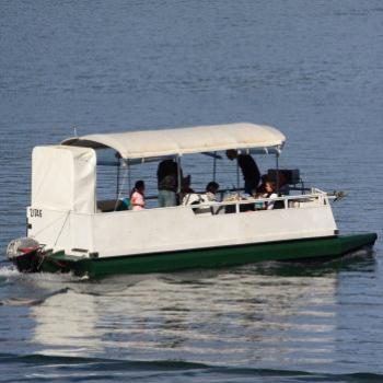 <b>7869 pontoon boat, Hawkesbury R, 9th Aug'09, Kate/Sydney</b>