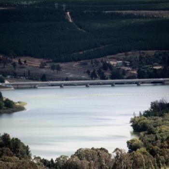 <b>2491 Screivener Dam & pine plantation, Lake Burley Griffin, from Telstra Tower, Black Mountain, Canberra, 20th Feb'10 Kate/Sydney</b>