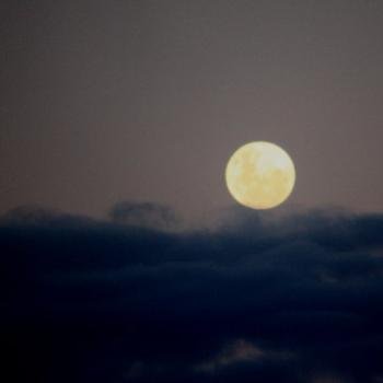 <b>3812 Moon rising above clouds, Hawkesbury R, 7th June'09 Kate/Sydney</b>